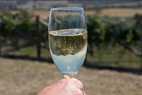 Highlights Of Hobart: Gourmet Food Tour - Accommodation Mount Tamborine 0