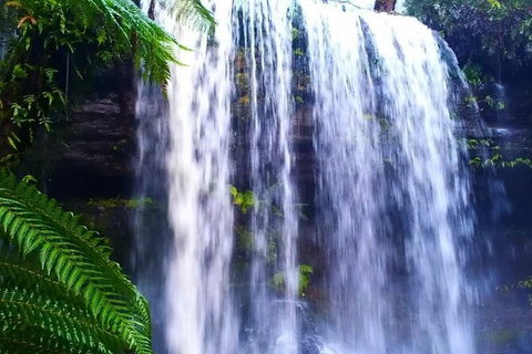 Hobart Minibus Full-Day Private Tour - Accommodation Mount Tamborine 5