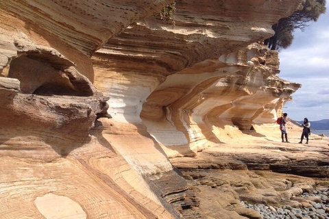 Hobart Minibus Full-Day Private Tour - Accommodation Mount Tamborine 2