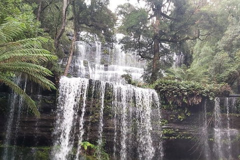 6-Day Small-Group Hearty Tasmania Tour From Hobart - Accommodation Mount Tamborine 5