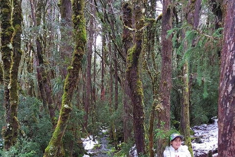 6-Day Small-Group Hearty Tasmania Tour From Hobart - Accommodation Mount Tamborine 2