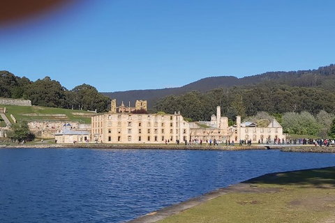 6-Day Small-Group Hearty Tasmania Tour From Hobart - Accommodation Mount Tamborine 6