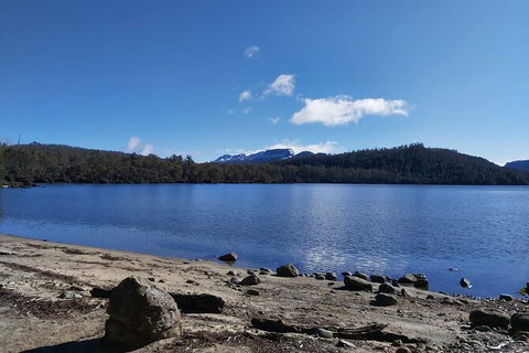 6-Day Small-Group Hearty Tasmania Tour From Hobart - Accommodation Mount Tamborine 4