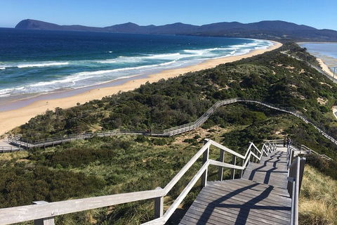 4-Day Fabulous Tasmania Tour: Wineglass Bay, Port Arthur, Devils & Bruny Island - Accommodation Mount Tamborine 3