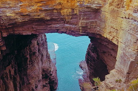 4-Day Fabulous Tasmania Tour: Wineglass Bay, Port Arthur, Devils & Bruny Island - Accommodation Mount Tamborine 6