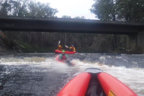 Twin Rivers Winter Adventure - Accommodation Mount Tamborine 4