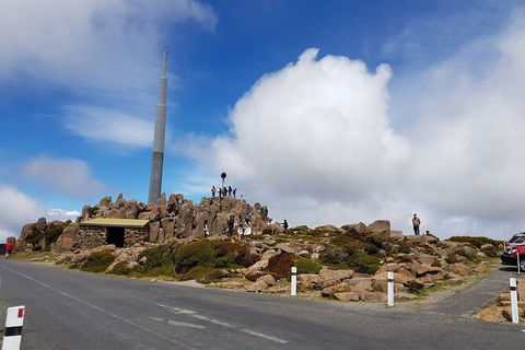 Mt. Wellington Morning Hike + Afternoon Beer & History Walk - Accommodation Mount Tamborine 21