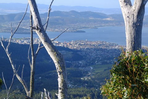 Mt. Wellington Morning Hike + Afternoon Beer & History Walk - Accommodation Mount Tamborine 10