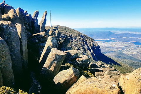 Mt. Wellington Morning Hike + Afternoon Beer & History Walk - Accommodation Mount Tamborine 11