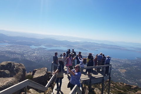 Mt. Wellington Morning Hike + Afternoon Beer & History Walk - Accommodation Mount Tamborine 2