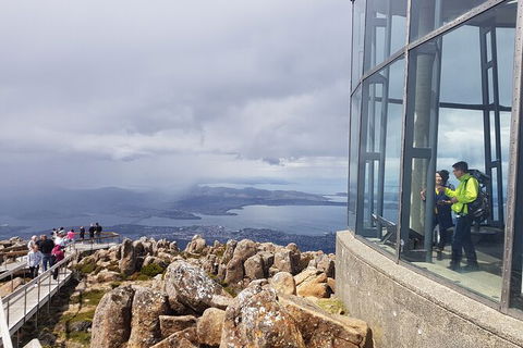 Mt. Wellington Morning Hike + Afternoon Beer & History Walk - Accommodation Mount Tamborine 12