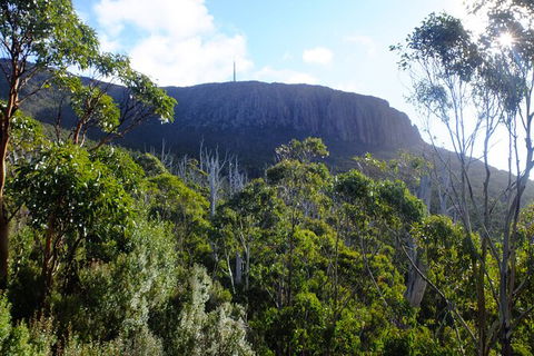 Mt. Wellington Morning Hike + Afternoon Beer & History Walk - Accommodation Mount Tamborine 4
