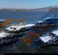 Moorilla Estate's Posh-As Day at Mona - Accommodation Mount Tamborine