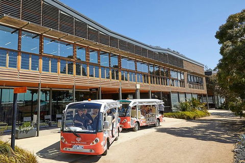The Explorer - Cranbourne Gardens - Accommodation Mount Tamborine 3