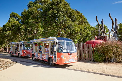 The Explorer - Cranbourne Gardens - Accommodation Mount Tamborine 4