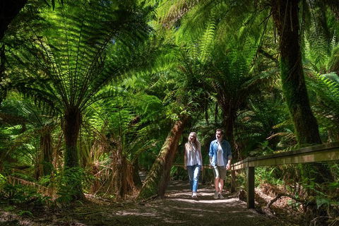 The Great Ocean Road Private 1 Day Tour - Accommodation Mount Tamborine 2