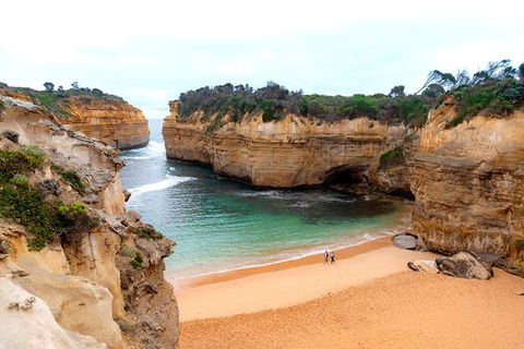 The Great Ocean Road Private 1 Day Tour - Accommodation Mount Tamborine 6