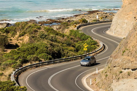 The Great Ocean Road Private 1 Day Tour - Accommodation Mount Tamborine 5