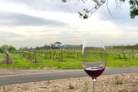Cycle Tour | Guided | Bellarine Peninsula Victoria | Food & Wine Region - Accommodation Mount Tamborine 2