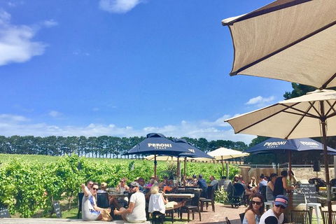 Cycle Tour | Guided | Bellarine Peninsula Victoria | Food & Wine Region - Accommodation Mount Tamborine 3