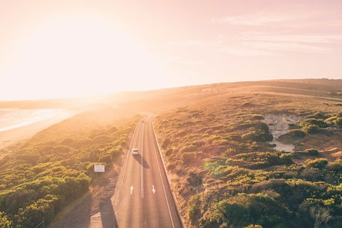 LGBT+ Friendly 2 Day Private Great Ocean Road Tour - Accommodation Mount Tamborine 1