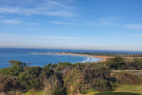 Private Great Ocean Road And Chocolaterie Tour With Tasting - Accommodation Mount Tamborine 5