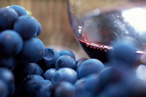 Mornington Peninsula 2-6 Guests Lunch Rare Hare Or Merricks General Wine Store - Accommodation Mount Tamborine 7