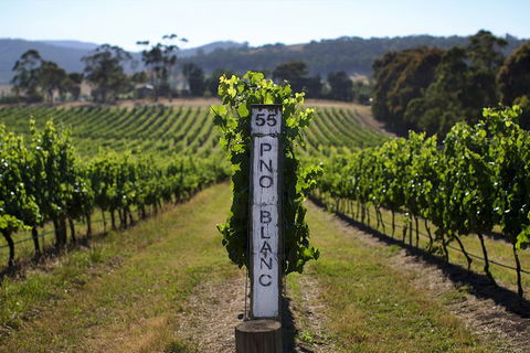 Mornington Peninsula 2-6 Guests Lunch Rare Hare Or Merricks General Wine Store - Accommodation Mount Tamborine 5