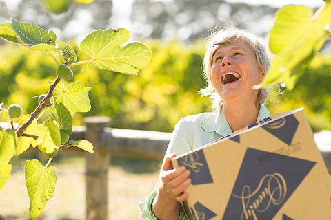 Mornington Peninsula 2-6 Guests Lunch And Inc Wine Tasting At Quealy Winemakers - Accommodation Mount Tamborine 4