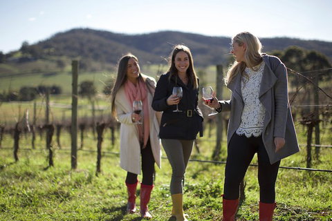 Yarra Valley Premium Tour Inc Lunch And Cheese And Wine Pairing At De Bortoli - Accommodation Mount Tamborine 2