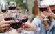 Yarra Valley Premium Tour Inc Lunch And Cheese And Wine Pairing At De Bortoli - thumb 3