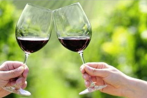 Yarra Valley Premium Tour Inc Lunch And Cheese And Wine Pairing At De Bortoli - Accommodation Mount Tamborine 4