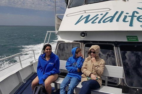 Phillip Island Penguin And Wildlife Tour - Accommodation Mount Tamborine 15