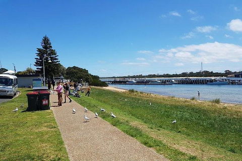 Phillip Island Penguin And Wildlife Tour - Accommodation Mount Tamborine 25