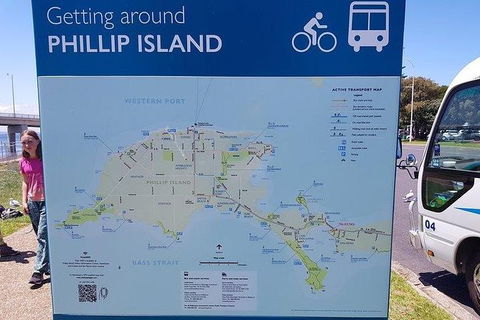 Phillip Island Penguin And Wildlife Tour - Accommodation Mount Tamborine 28