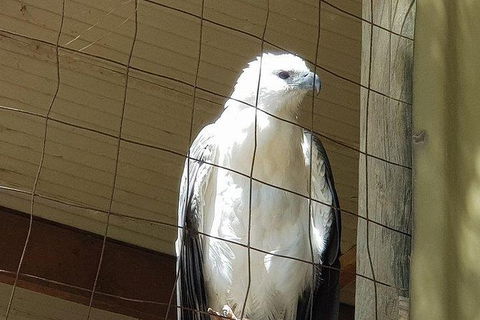Phillip Island Penguin And Wildlife Tour - Accommodation Mount Tamborine 21