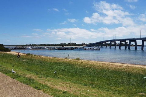 Phillip Island Penguin And Wildlife Tour - Accommodation Mount Tamborine 24
