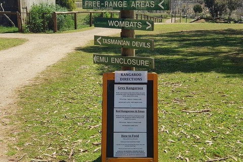 Phillip Island Penguin And Wildlife Tour - Accommodation Mount Tamborine 4