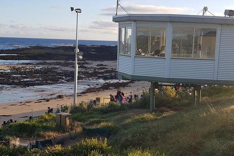 Phillip Island Penguin And Wildlife Tour - Accommodation Mount Tamborine 33