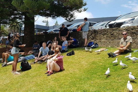 Phillip Island Penguin And Wildlife Tour - Accommodation Mount Tamborine 22