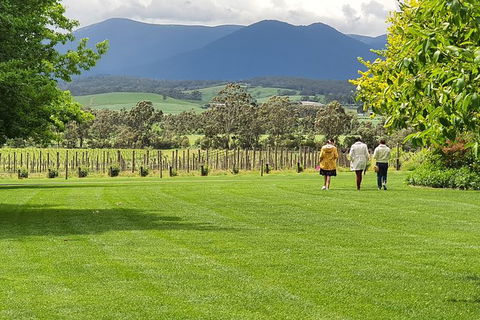Yarra Valley Wine Tasting Day Tour From Melbourne - Accommodation Mount Tamborine 6