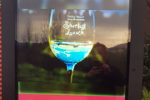 Yarra Valley Wine Tasting Day Tour From Melbourne - Accommodation Mount Tamborine 4