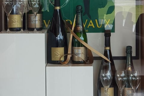 Yarra Valley Wine Tasting Day Tour From Melbourne - Accommodation Mount Tamborine 2
