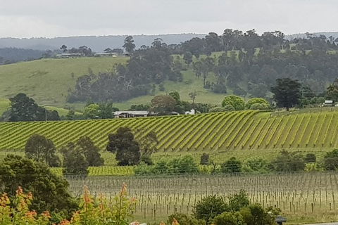 Yarra Valley Wine Tasting Day Tour From Melbourne - Accommodation Mount Tamborine 0