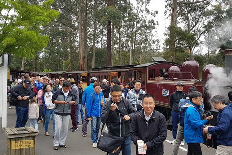 Day Tour Of Yarra Valley Puffing Billy And Rayners Orchard - Accommodation Mount Tamborine 3