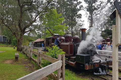 Day Tour Of Yarra Valley Puffing Billy And Rayners Orchard - Accommodation Mount Tamborine 14