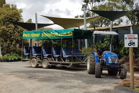 Day Tour Of Yarra Valley Puffing Billy And Rayners Orchard - Accommodation Mount Tamborine 17