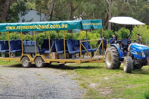 Day Tour Of Yarra Valley Puffing Billy And Rayners Orchard - Accommodation Mount Tamborine 48