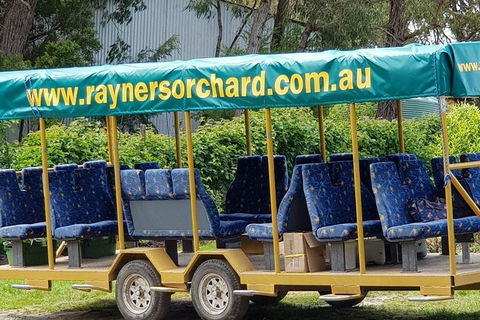Day Tour Of Yarra Valley Puffing Billy And Rayners Orchard - Accommodation Mount Tamborine 33