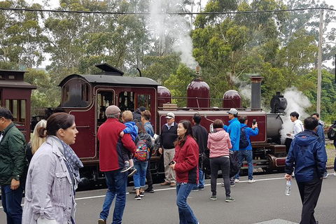 Day Tour Of Yarra Valley Puffing Billy And Rayners Orchard - Accommodation Mount Tamborine 4